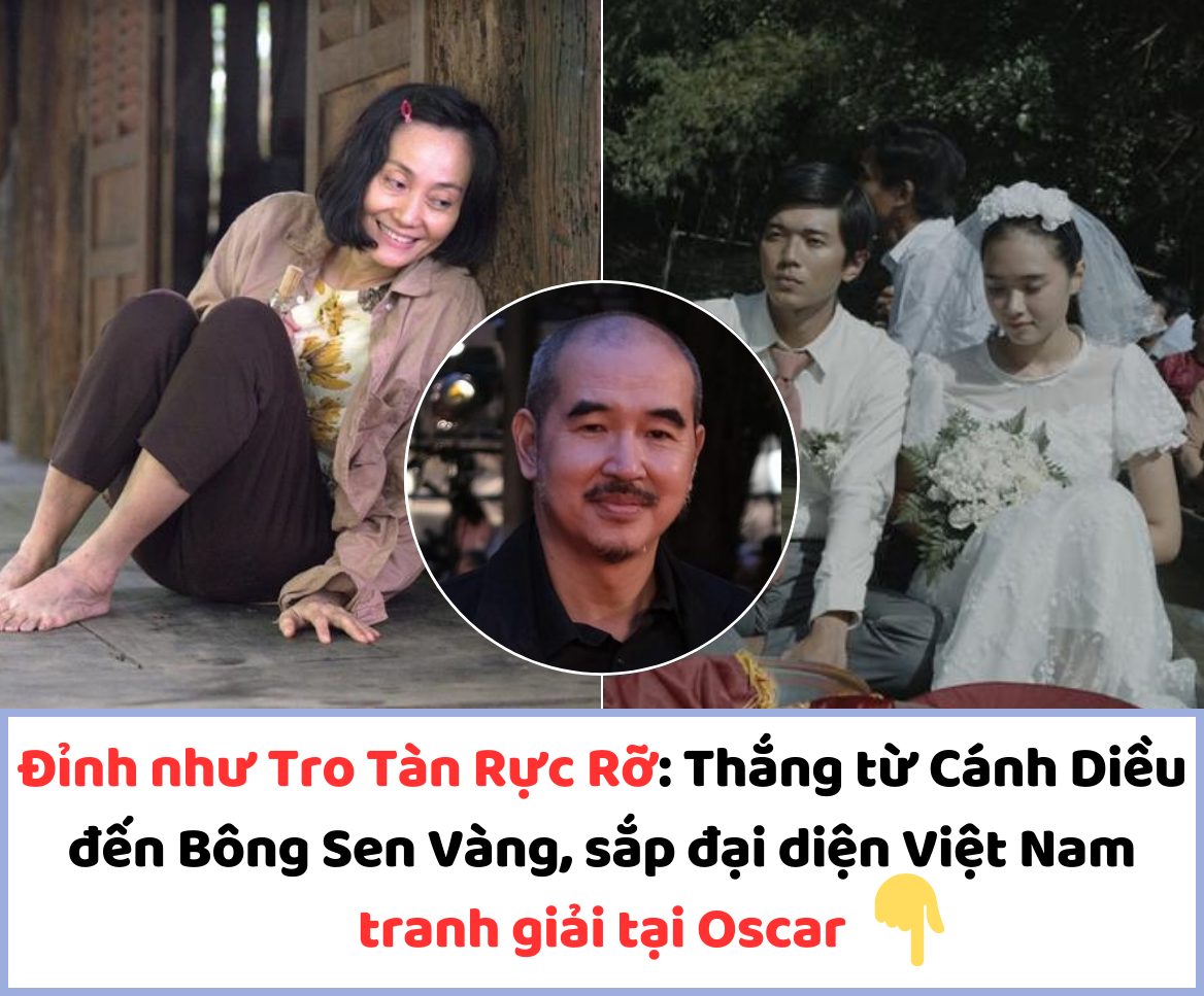 Đỉnh như Tro Tàn Rực Rỡ: Thắng từ Cánh Diều đến Bông Sen Vàng, sắp đại diện Việt Nam tranh giải tại Oscar