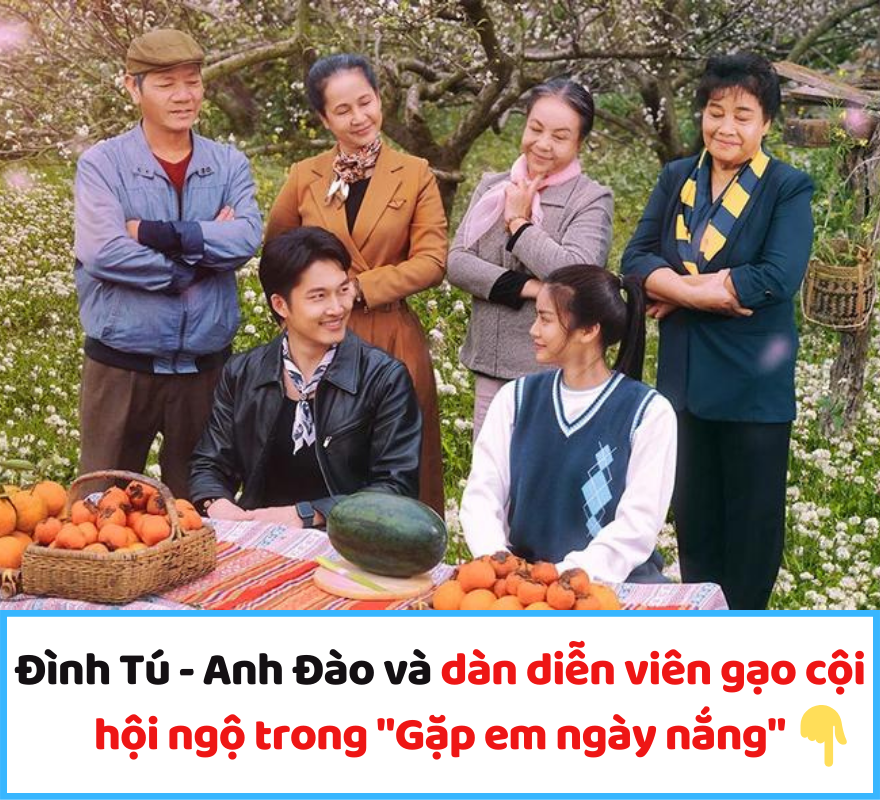 Đình Tú – Anh Đào và dàn diễn viên gạo cội hội ngộ trong “Gặp em ngày nắng”